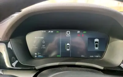 BYD Song Plus, 2025 на заказ