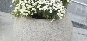 Куфшин\Гулдон
