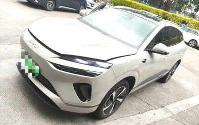 BYD Sea Lion 06, 2025