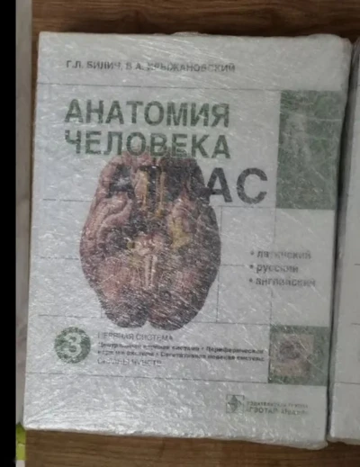 Анатомия Человека — миниатюра 3