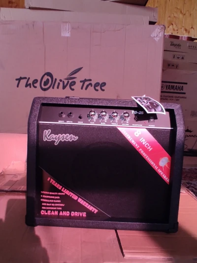 Гитарный комбик 25w