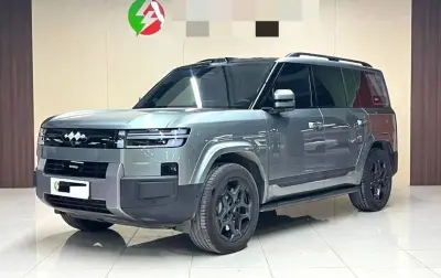 BYD Другие модели, 2025