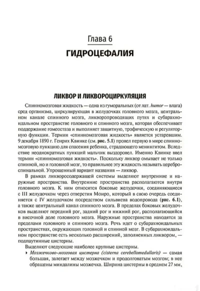 Книга Основы нейрохирургии — миниатюра 2