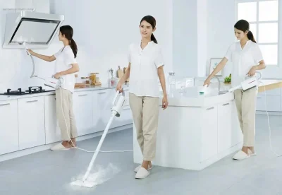 Пароочиститель Xiaomi Deerma Steam Cleaner DEM-ZQ610 — миниатюра 4