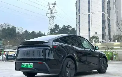Tesla Model Y, 2025 — миниатюра 2