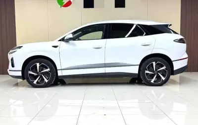BYD Sea Lion 06, 2025