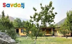 сдается дача в ширкентском ущелье 