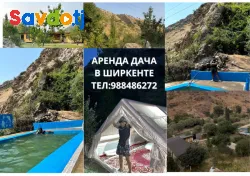 сдается дача в ширкентском ущелье 