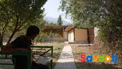 сдается дача в ширкентском ущелье 