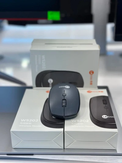 Мышка Mouse Lecoo ws202