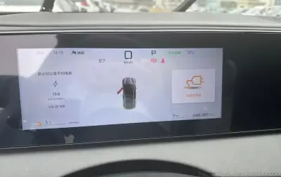 BYD Sea Lion 06, 2025