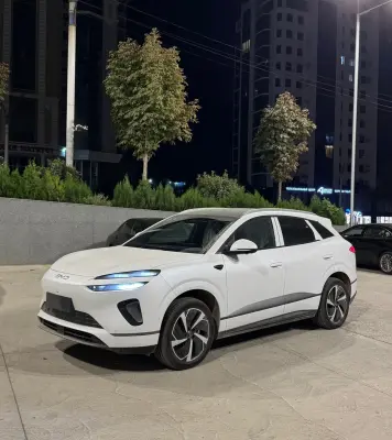BYD Sea Lion 06, 2025