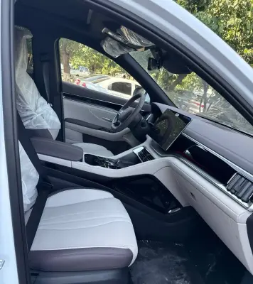 BYD Song, 2025 — миниатюра 7