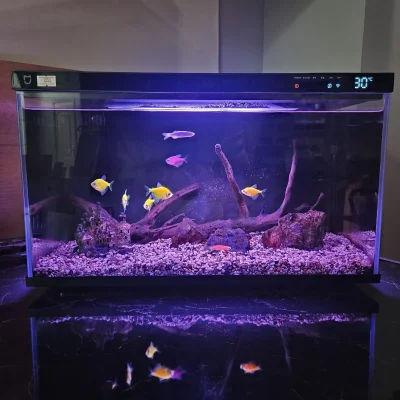 Умный аквариум Xiaomi Mijia Smart Fish Tank
