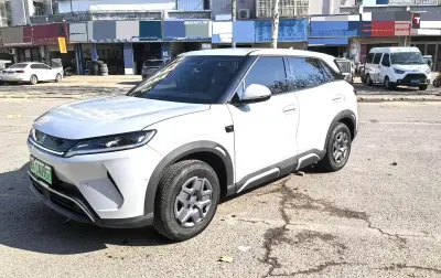 BYD Yuan Up 2025