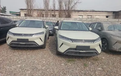 BYD Yuan Up, 2025