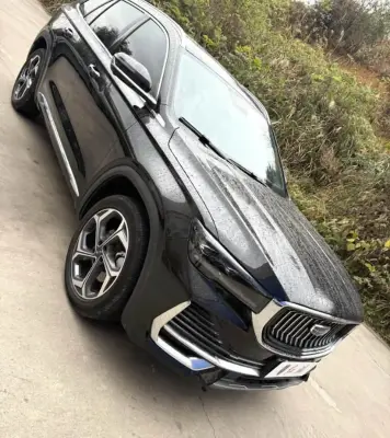Geely Monjaro, 2022 — миниатюра 7