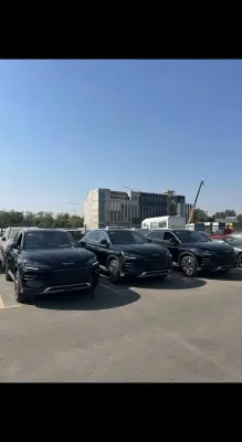 BYD Song Plus, 2025 — миниатюра 3