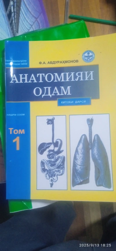 Анатомияи Одам — миниатюра 3