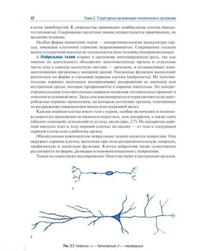 Анатомия Человека — миниатюра 2