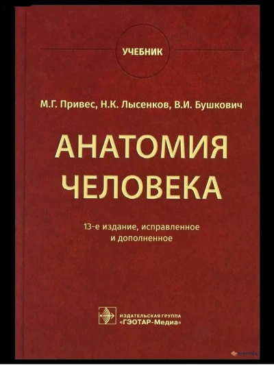 Книга Анатомия Человека