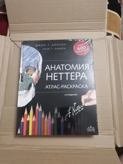 Атлас Анатомия Неттера — миниатюра 2