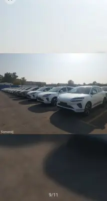 BYD Sea Lion 06 2025