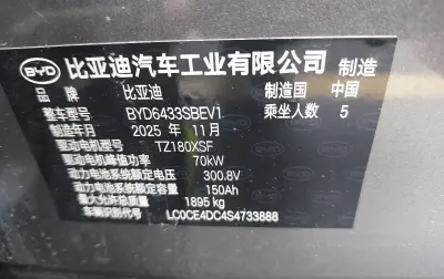 BYD Yuan Up, 2025