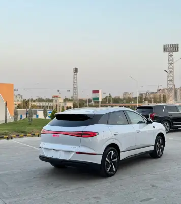 BYD Sea Lion 06, 2025