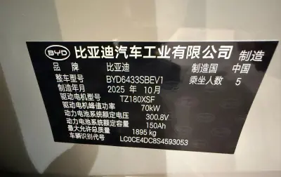 BYD Yuan Up, 2025