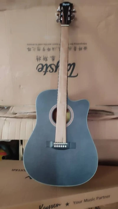 Гитара Tayste TS_23