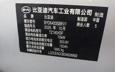 BYD Yuan Up, 2025