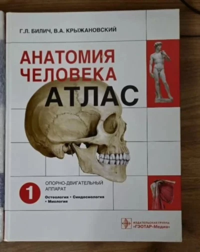 Анатомия Человека — миниатюра 2