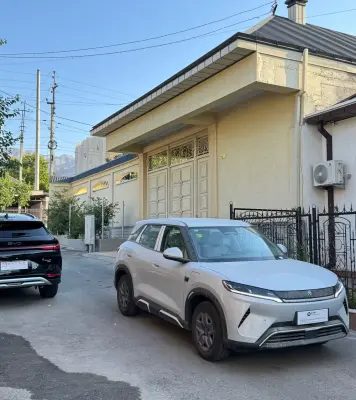 BYD Yuan Up, 2025