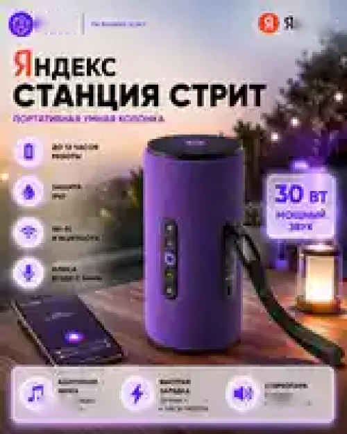 Яндекс Станция Стрит Алиса — миниатюра 3