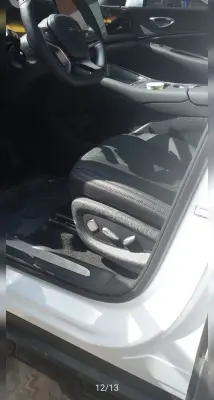 BYD Sea Lion 06, 2025