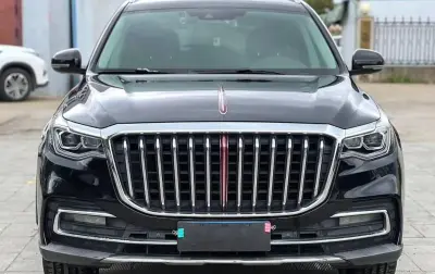 Hongqi HS7, 2021 — миниатюра 5