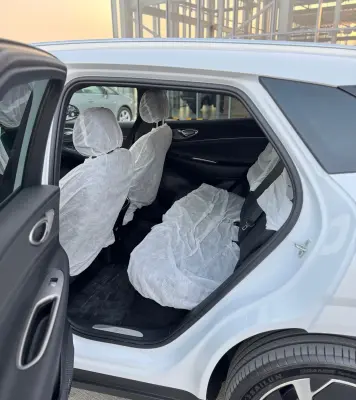 BYD Sea Lion 06, 2025