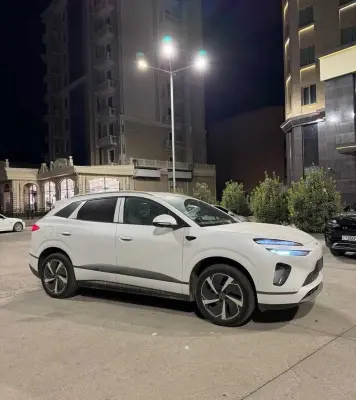 BYD Sea Lion 06, 2025