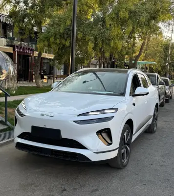 BYD Sea Lion 06, 2025