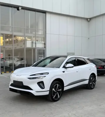 BYD Sea Lion 06 2025