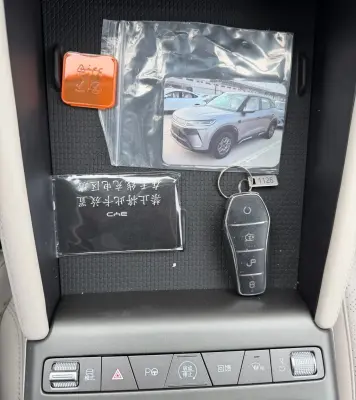 BYD Yuan Up, 2025