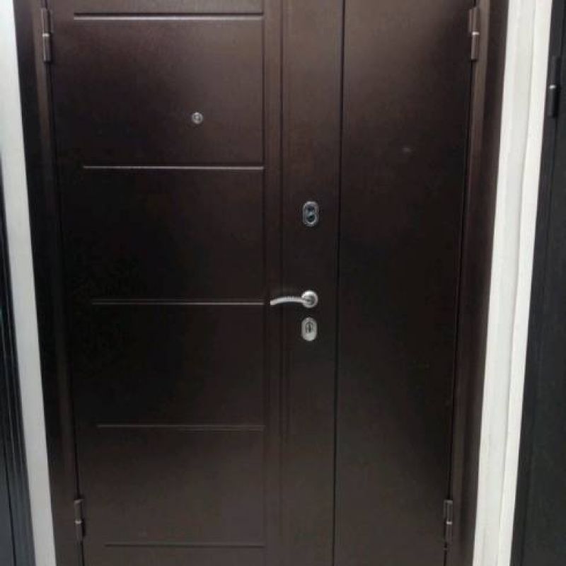 Двери пр. Россия доступные цены