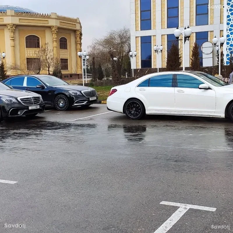 заказ авто для любых мероприятий Мошин борои туй
