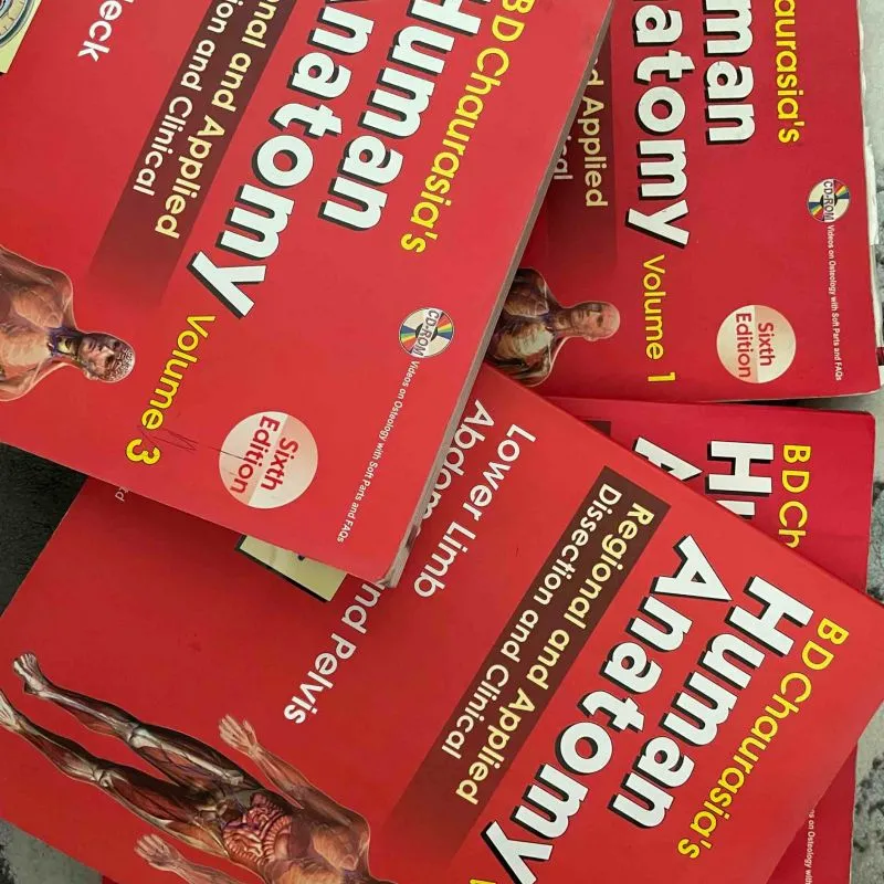 Human Anatomy 6th Edition 