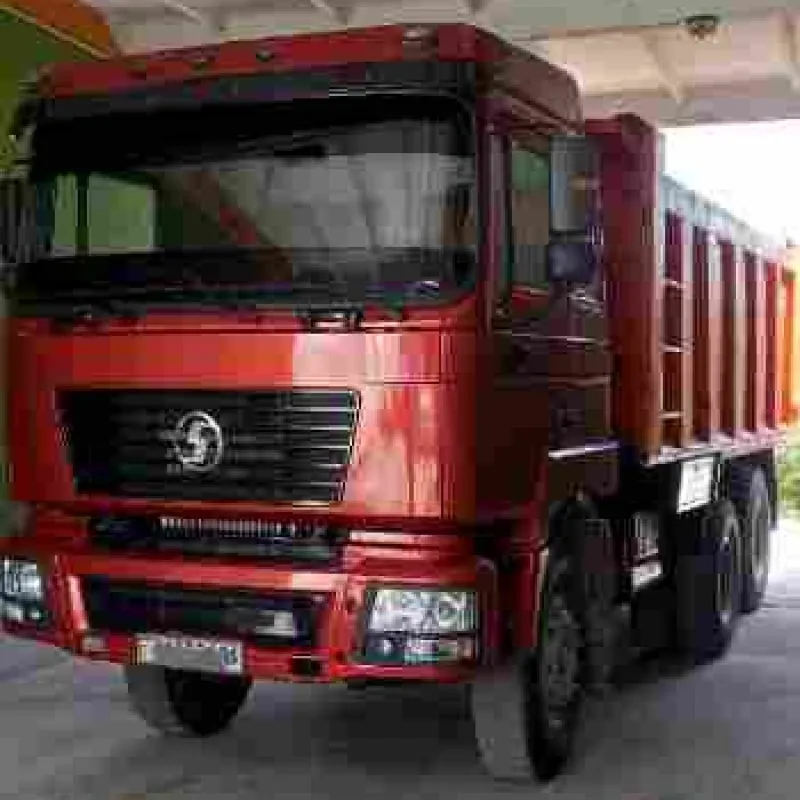 Самосвал Dulan, 2008