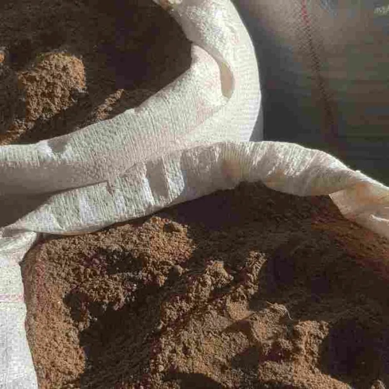 Кунжола загер 