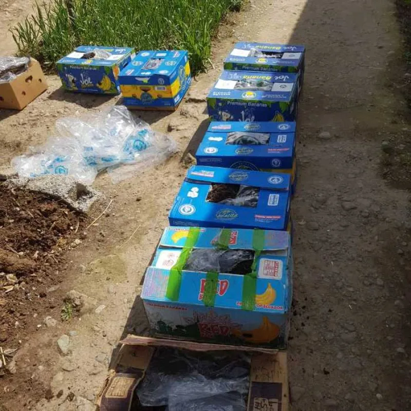 Кирми Калифорния