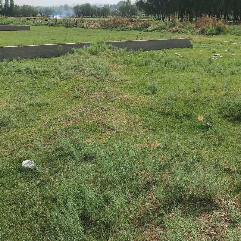 Постройка с земельным участком