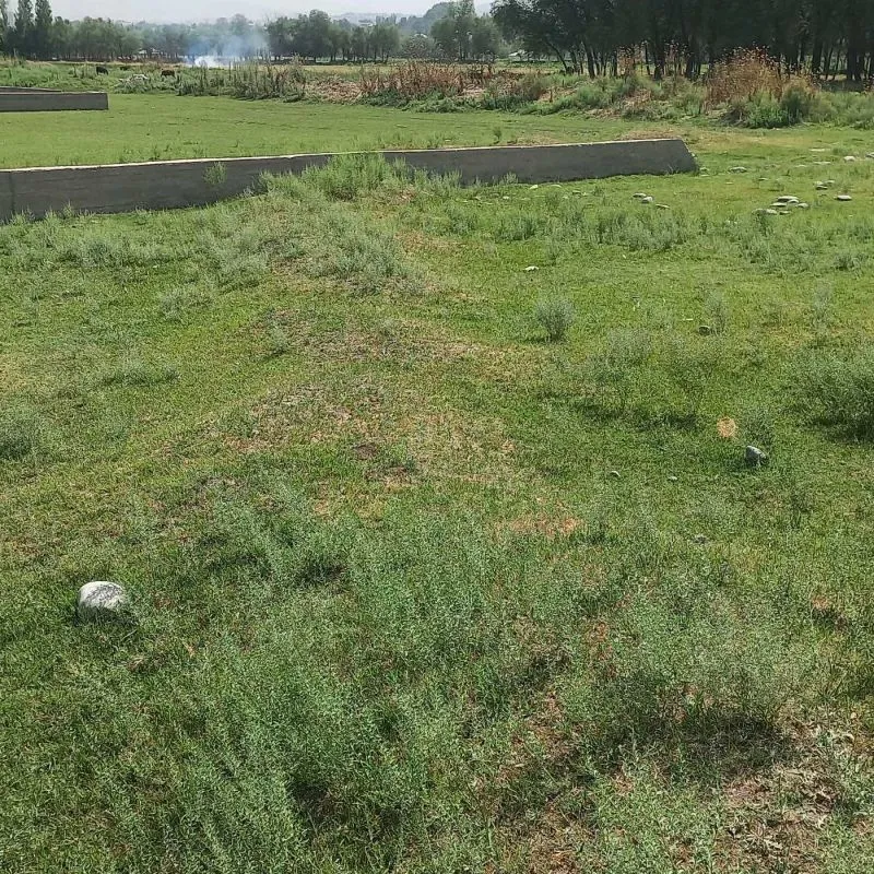 Постройка с земельным участком